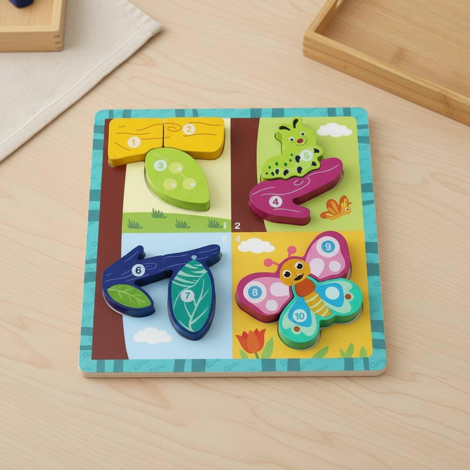 Growth Board Game Board Cognit - đánh giá và giá Board Game Nature